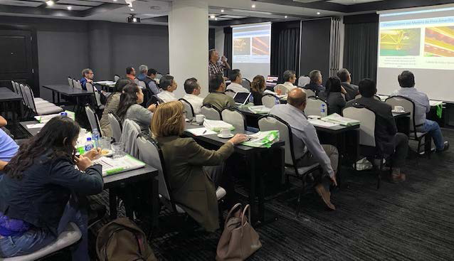 Seminar attendees learn about SYP