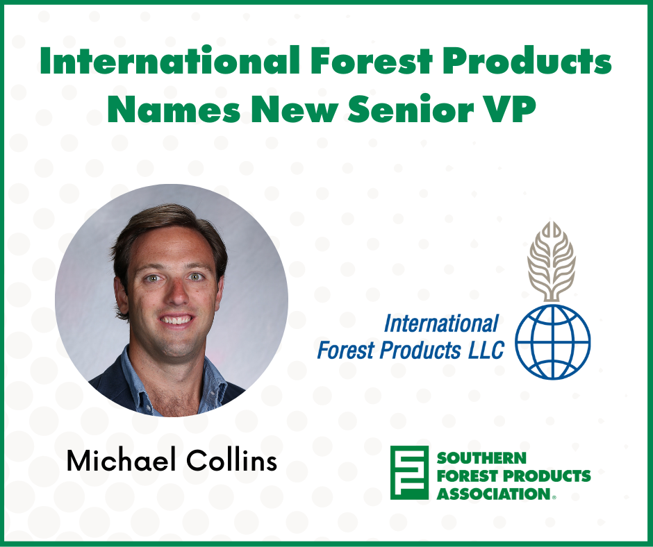 Michael Collins Named New Senior VP at International Forest Products