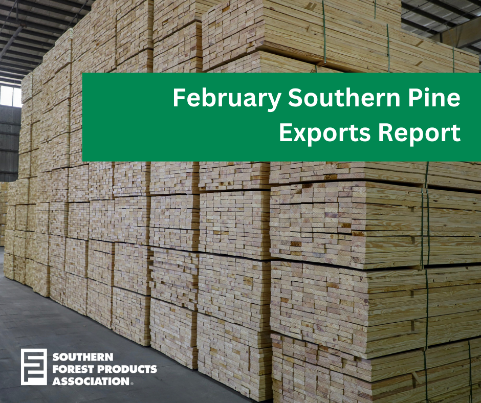 Exportations de pin du Sud en février 2023
